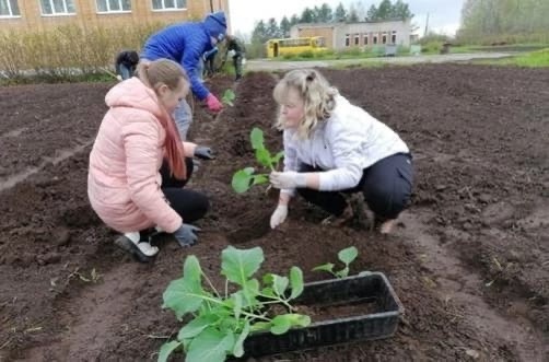 ПОЗДРАВЛЯЕМ.