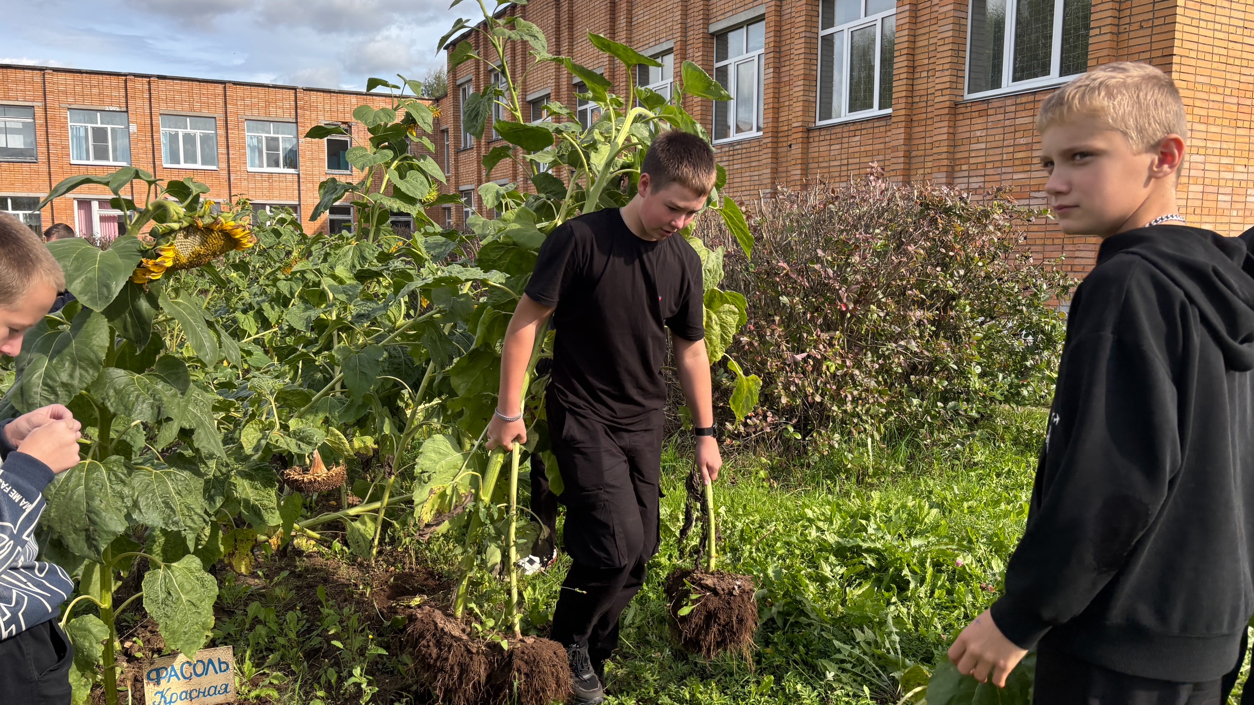 Трудовой десант Трудовой десант.